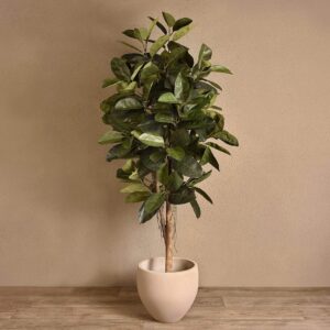 شجرة مطاطية صناعية