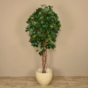 شجرة شيفليرا اصطناعية