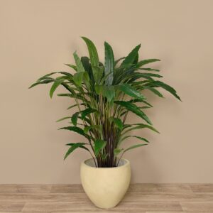 نبات كالاثيا الاصطناعي