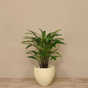 كالاتيا صناعية