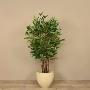 شجرة دراسينا صناعية مرقطة