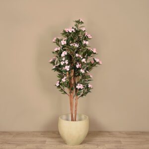 نبات إمباتينز صناعي