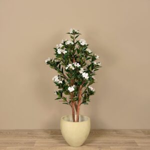 عناوين قصيرة