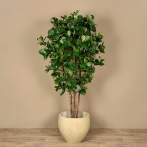 شجرة كلوسيا اصطناعية