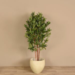 شجرة دراسينا اصطناعية