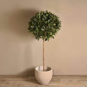 شجرة لوريل اصطناعية