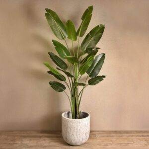 نخلة رافينالا اصطناعية