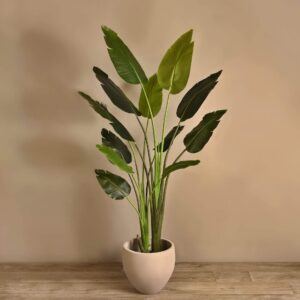 نبات رافينالا صناعي