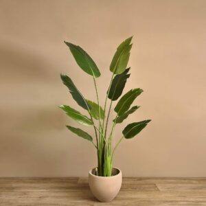 نخلة رافينالا اصطناعية