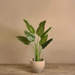 نخلة رافينالا الاصطناعية