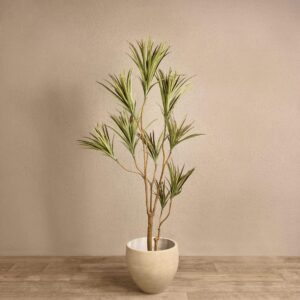 نبات دراسينا صناعي