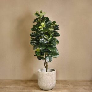 شجرة فيكس ليراتا اصطناعية