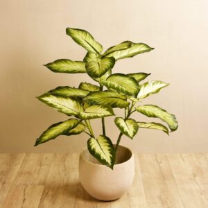 نبتة ديفنباخيا صناعية