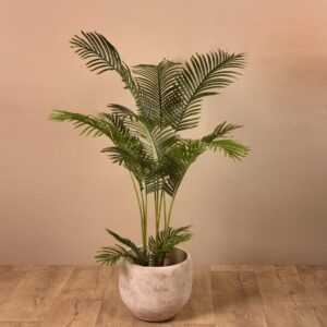 عناوين مختصرة