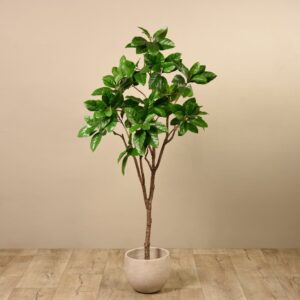 شجرة مطاطية صناعية