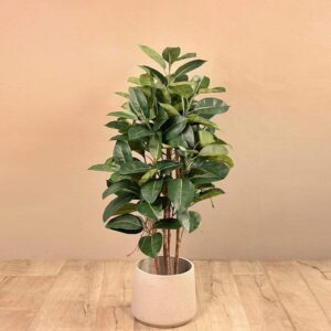 شجرة تين صناعية بلون بلوطي