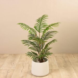 عناوين قصيرة