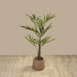 نخلة كنتيا اصطناعية