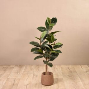 شجرة مطاطية صناعية