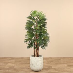 نبتة أراليا اصطناعية