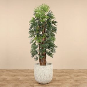 نخلة فوفل اصطناعية