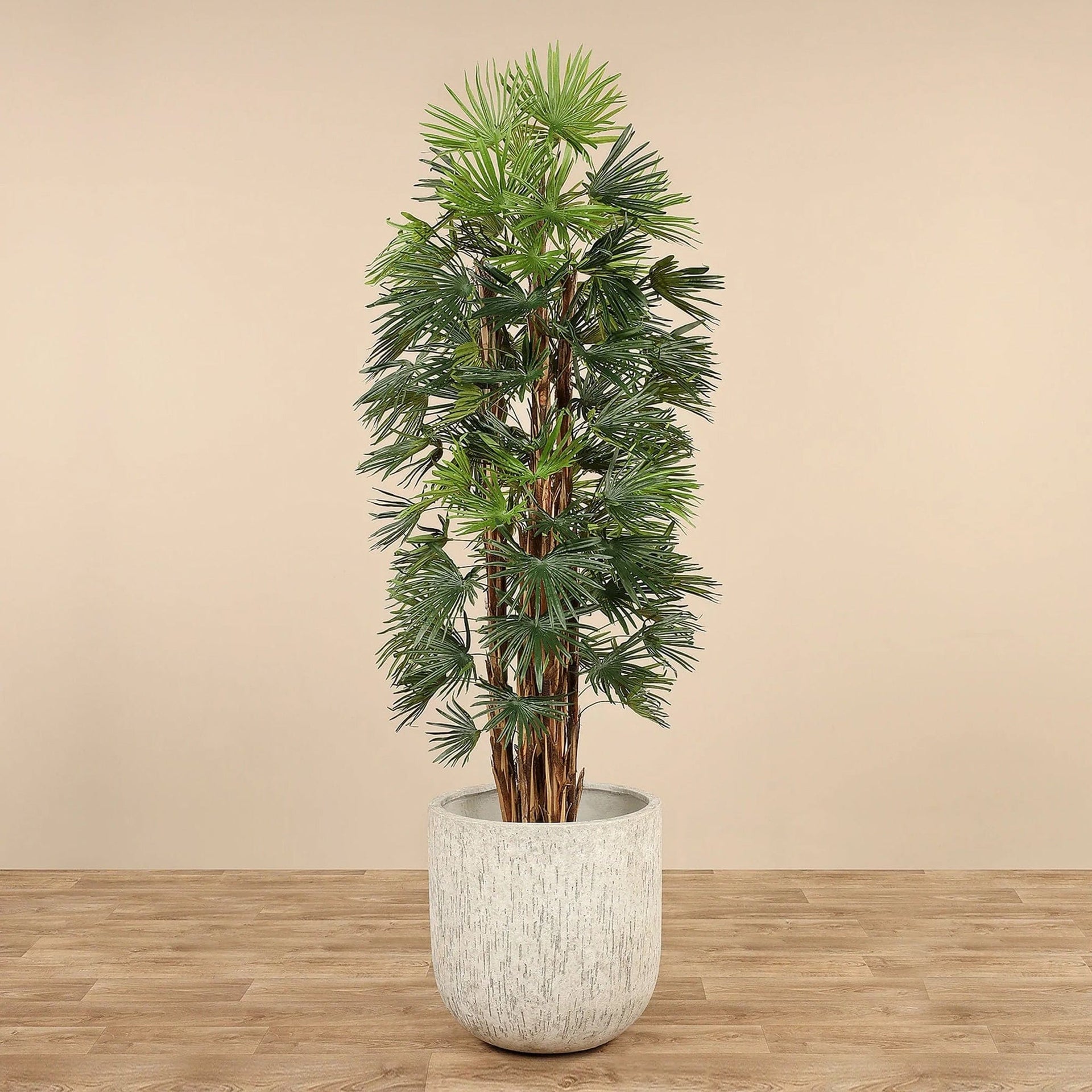 نخلة فوفل اصطناعية