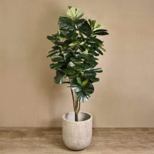 شجرة فيكس ليراتا اصطناعية