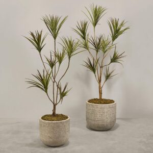 دراسينا اصطناعية مع أصيص زينة