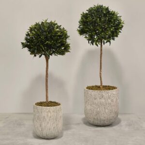 شجرة لوريل اصطناعية في أصيص