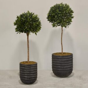 شجرة لوريل اصطناعية مع أصيص