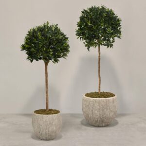 شجرة لوريل صناعية في أصيص