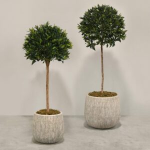 شجرة لوريل اصطناعية في أصيص