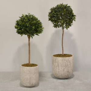 شجرة لوريل صناعية في أصيص