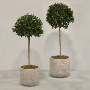 شجرة لوريل اصطناعية مزروعة في أصيص