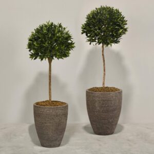 شجرة لوريل اصطناعية مزروعة بأصيص