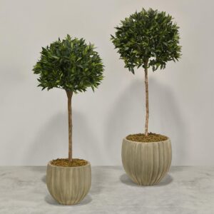 شجرة غار اصطناعية في أصيص