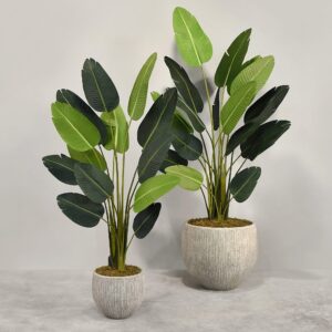 نبات عصفور الجنة الصناعي مع أصيص