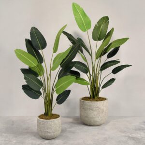 نبات عصفور الجنة الصناعي مع أصيص