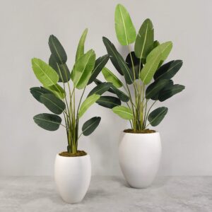 نبات عصفور الجنة الاصطناعي مع أصيص