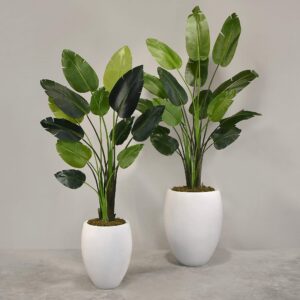 نبات عصفور الجنة الاصطناعي مع أصيص