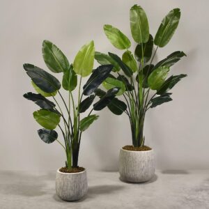 نبات عصفور الجنة الصناعي مع أصيص