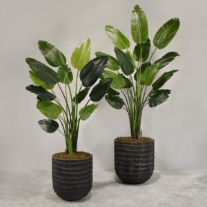 نبات طائر الجنة الاصطناعي مع أصيص