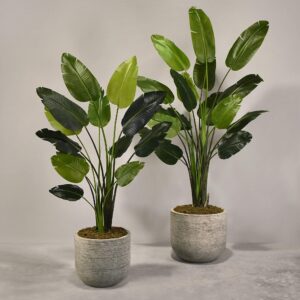 نبات عصفور الجنة صناعي بأصيص