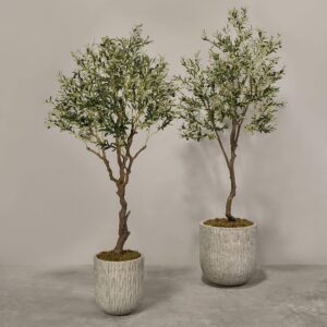 شجرة زيتون اصطناعية مع أصيص