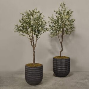 شجرة زيتون اصطناعية في أصيص