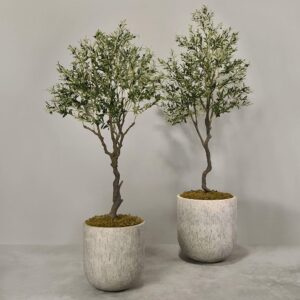 شجرة زيتون اصطناعية مع أصيص