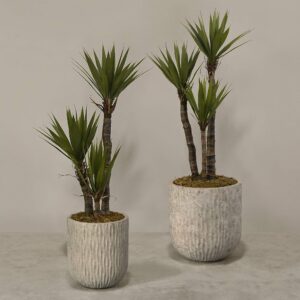 نبات يوكا صناعي مع أصيص