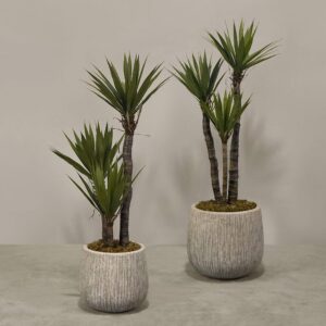 يوكا صناعية مزروعة في أصيص