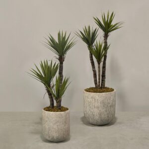 نبتة يوكا صناعية مزروعة في أصيص