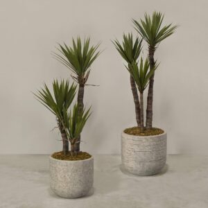 يوكا صناعية مع أصيص